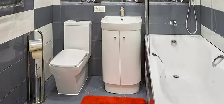 Hansgrohe Shaving Mirror North Olmsted